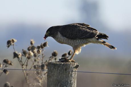 Lo más destacado de 2019