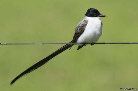 Lo más destacado de 2019