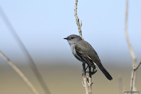 Lo más destacado de 2019