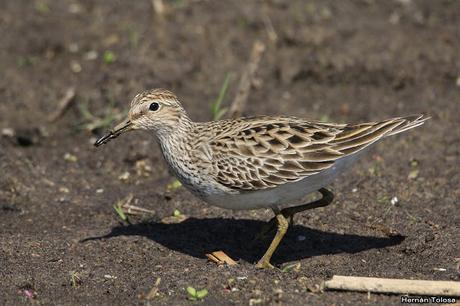 Lo más destacado de 2019