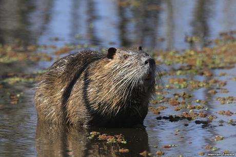 Lo más destacado de 2019