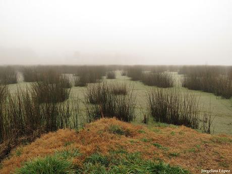 Lo más destacado de 2019