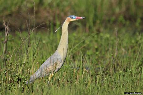 Lo más destacado de 2019