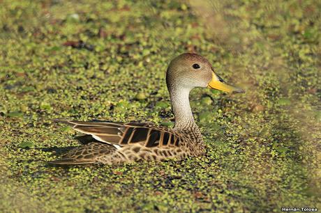 Lo más destacado de 2019