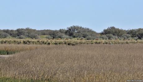 Lo más destacado de 2019