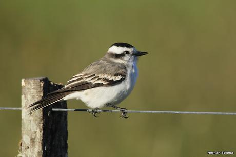 Lo más destacado de 2019