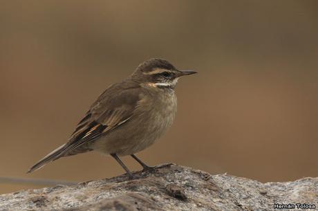 Lo más destacado de 2019