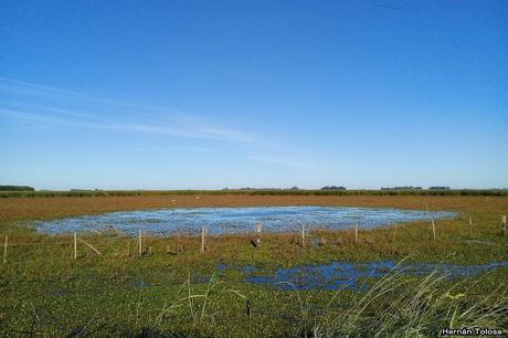 Lo más destacado de 2019
