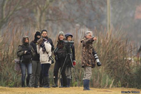 Lo más destacado de 2019