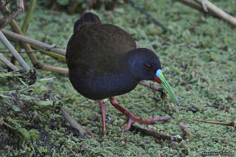 Lo más destacado de 2019