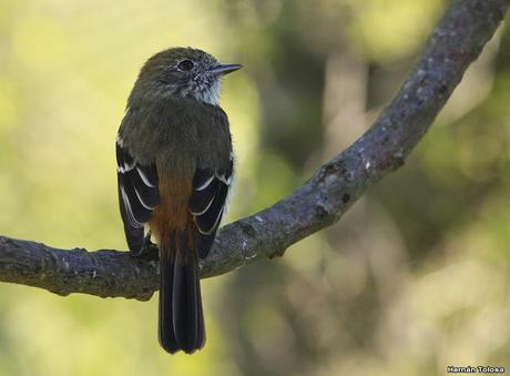 Lo más destacado de 2019