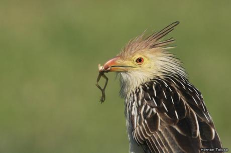 Lo más destacado de 2019