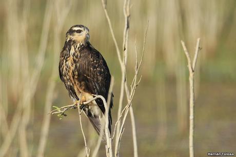 Lo más destacado de 2019