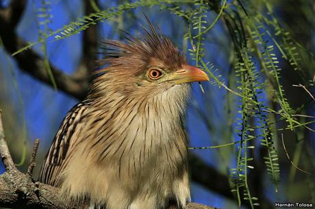 Lo más destacado de 2019