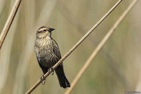 Lo más destacado de 2019