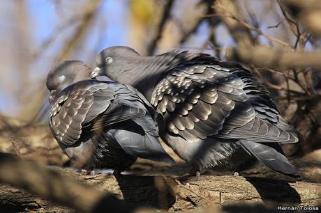 Lo más destacado de 2019