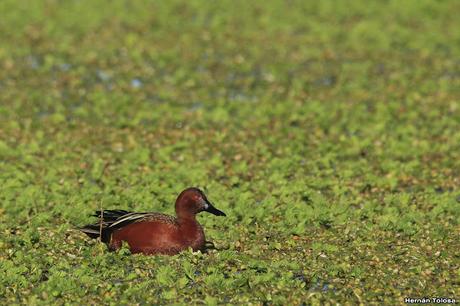 Lo más destacado de 2019