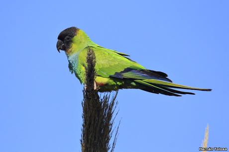 Lo más destacado de 2019