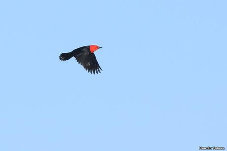 Lo más destacado de 2019