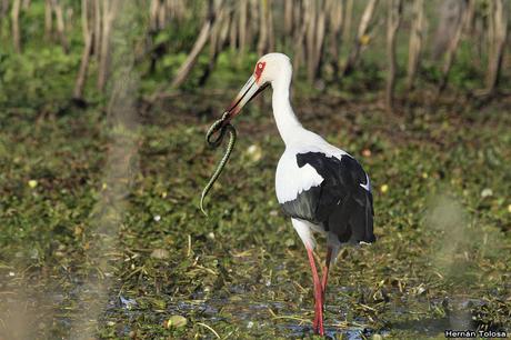 Lo más destacado de 2019