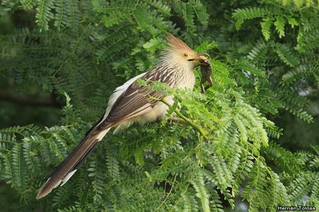 Lo más destacado de 2019