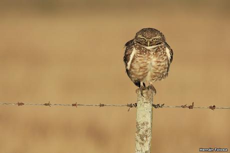 Lo más destacado de 2019