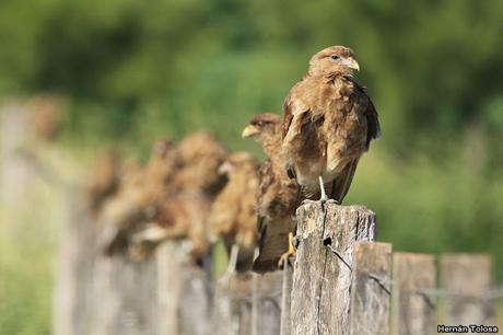 Lo más destacado de 2019