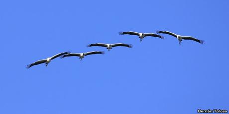 Lo más destacado de 2019