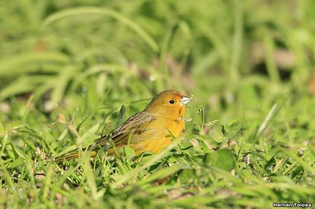 Lo más destacado de 2019