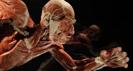 MOMIAS: EXPOSICIONES DESDE EL MÁS ACÁ