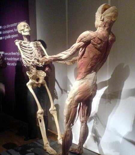 MOMIAS: EXPOSICIONES DESDE EL MÁS ACÁ