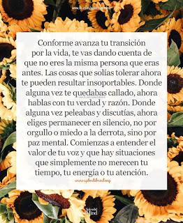 LO MEJOR DEL 2019 (II)