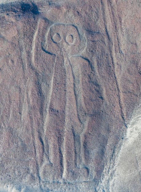 Las líneas de Nazca / The Nazca lines Las líneas de Nazca / The Nazca lines