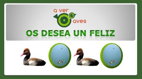 Muy feliz año de los dos patitos en las dos lagunas