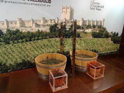 Museo Provincial del Vino