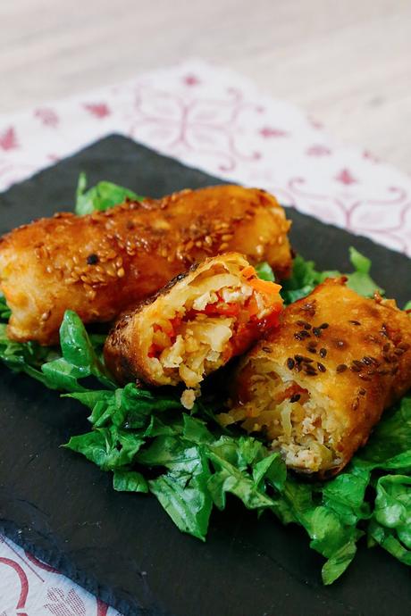 ROLLITOS DE VERDURAS