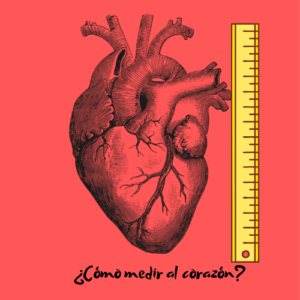 ¿Cómo medir el corazón?