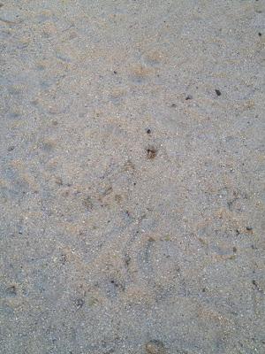 BANKIA, PUENTES ROTOS, ESCUELAS SIN REFORMAR Y ENCIERRO EN EL AYUNTAMIENTO