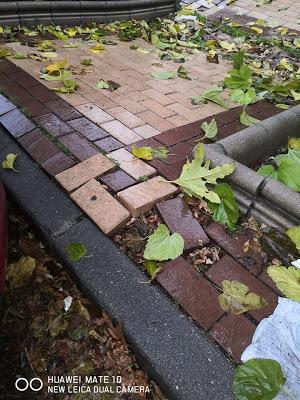 APAGONES,INCENDIOS,ROBOS EN COLEGIOS,TALAS,VANDALISMO Y MUCHAS HOJAS