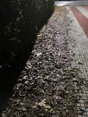 APAGONES,INCENDIOS,ROBOS EN COLEGIOS,TALAS,VANDALISMO Y MUCHAS HOJAS