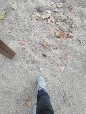 APAGONES,INCENDIOS,ROBOS EN COLEGIOS,TALAS,VANDALISMO Y MUCHAS HOJAS