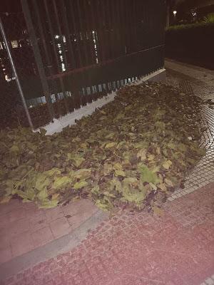 APAGONES,INCENDIOS,ROBOS EN COLEGIOS,TALAS,VANDALISMO Y MUCHAS HOJAS