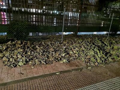 APAGONES,INCENDIOS,ROBOS EN COLEGIOS,TALAS,VANDALISMO Y MUCHAS HOJAS