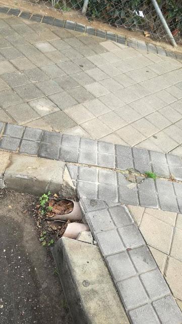 APAGONES,INCENDIOS,ROBOS EN COLEGIOS,TALAS,VANDALISMO Y MUCHAS HOJAS