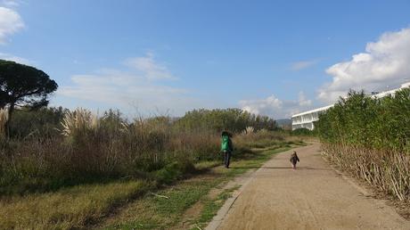 Estany Olla del Rei Joan II | Castelldefels