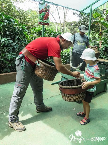 Qué hacer y ver en Costa Rica: itinerario y consejos