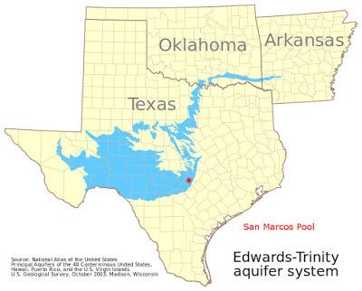 La salamandra ciega de Texas, habitante de la oscuridad perpetua