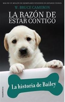 Novedades: Enero 2020