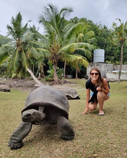 Seychelles en 10 días: qué ver y hacer en estas islas paradisíacas tortugas-gigantes-curieuse