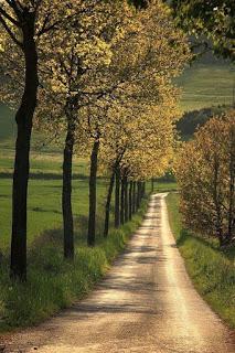 4.061 - ES UN CAMINO MUY LARGO...